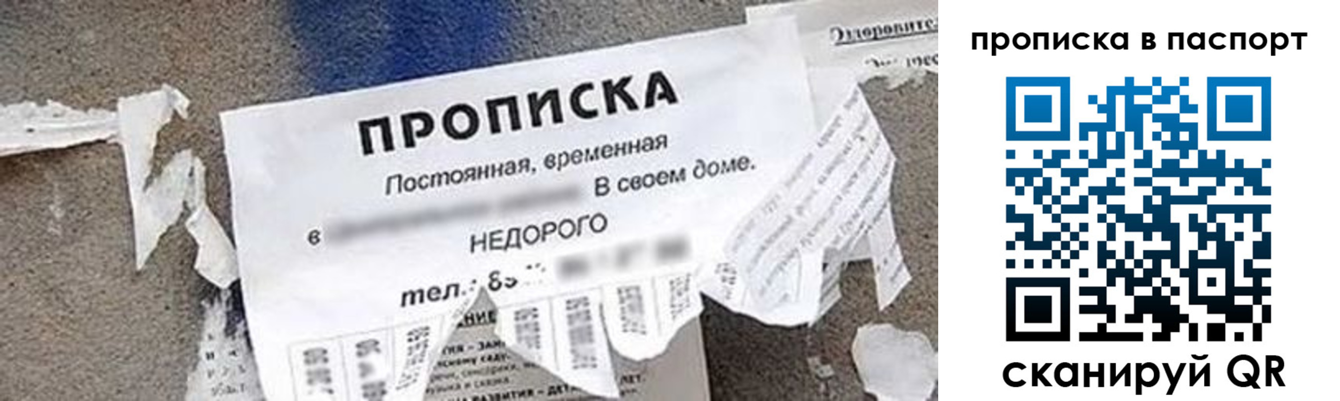 где прописаться в Козельске